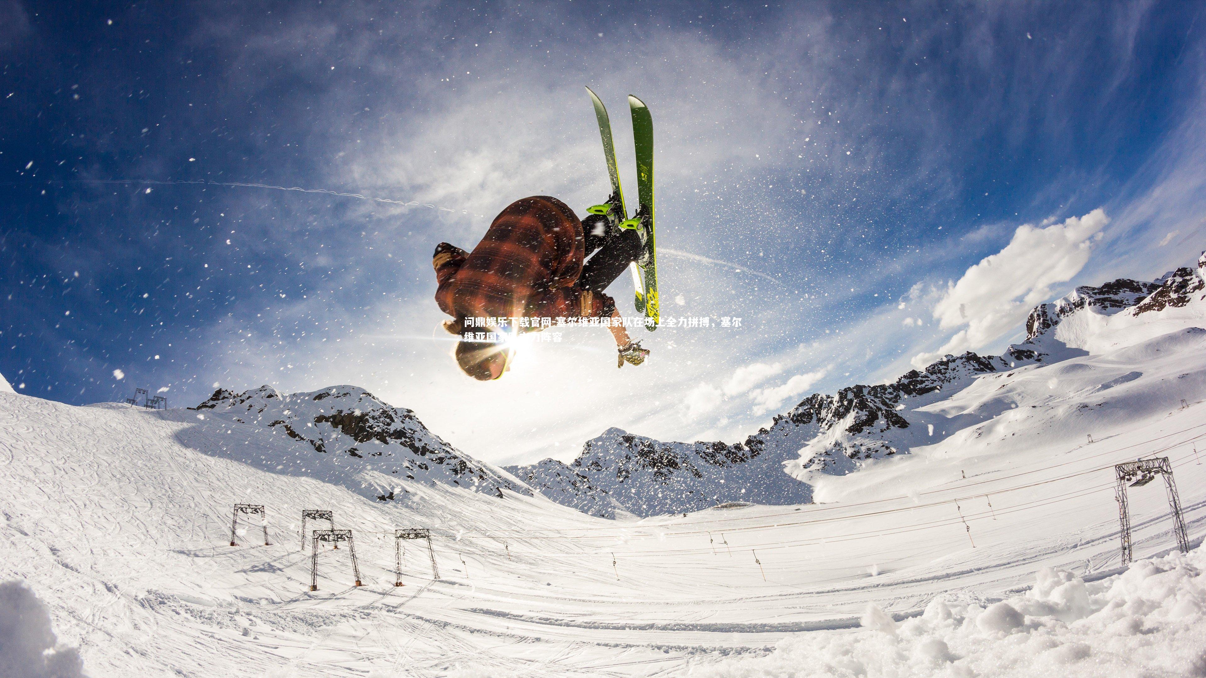 塞尔维亚国家队在场上全力拼搏，塞尔维亚国家队主力阵容