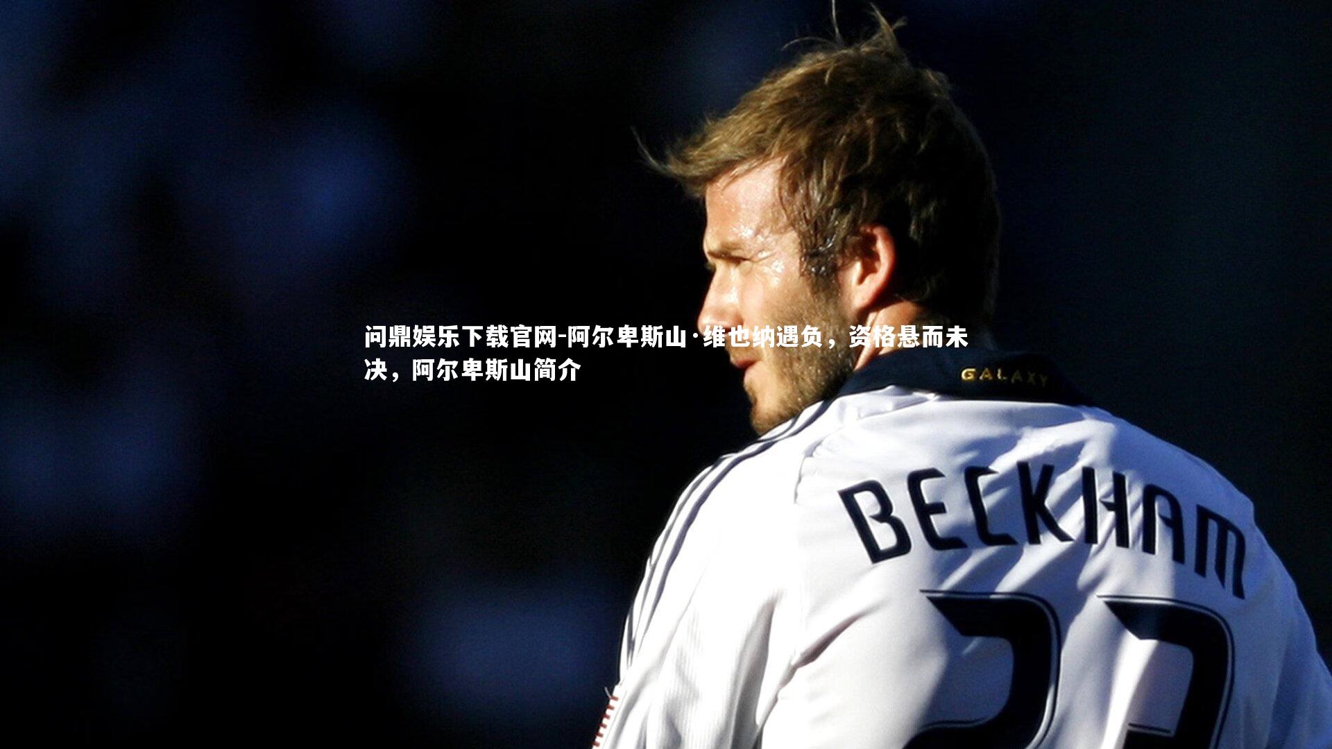 阿尔卑斯山·维也纳遇负，资格悬而未决，阿尔卑斯山简介